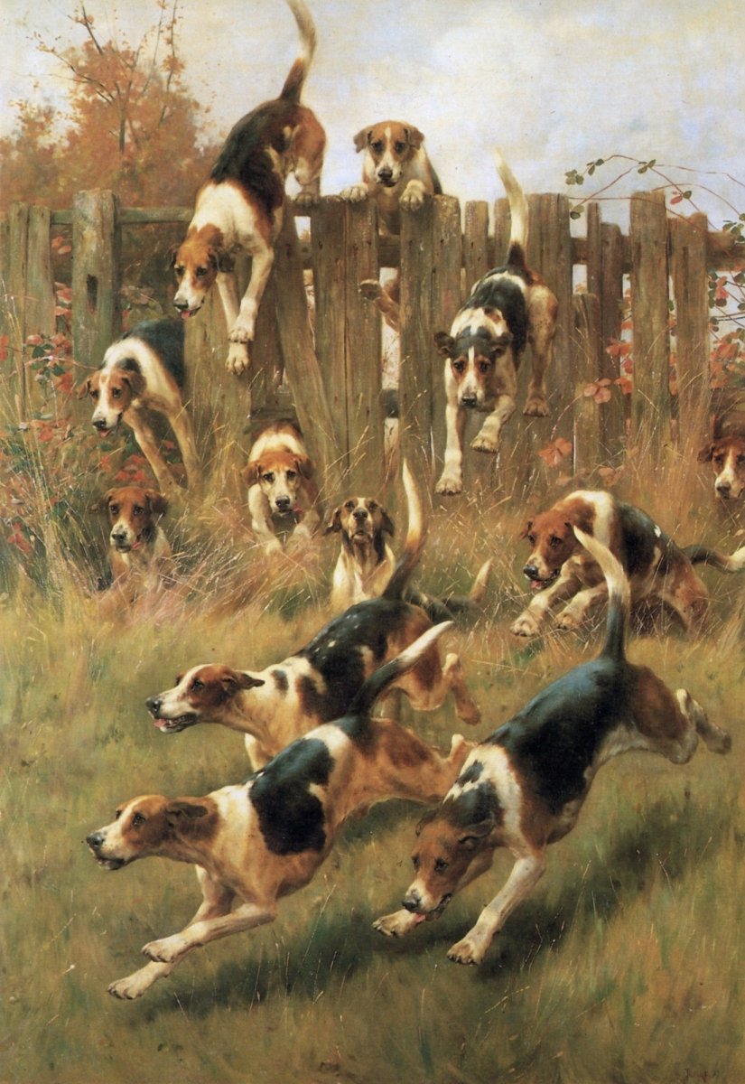 Thomas Blinks (1853-1910) - Hounds at Full Cry | Dimensions 3608 x 5248 pixels