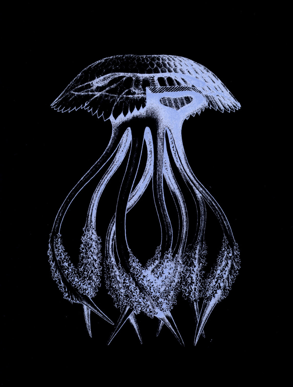 Dimensions 5340 x 7044 pixels