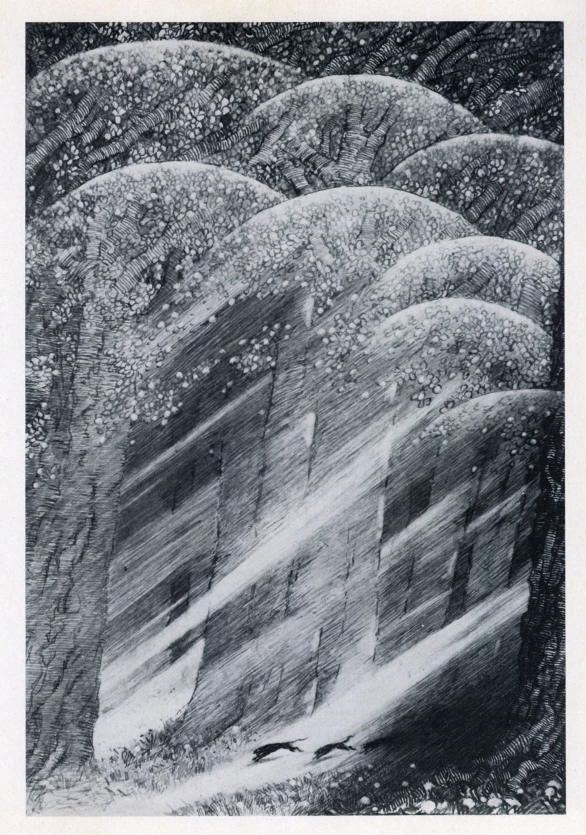 Dimensions 4500 x 6417 pixels