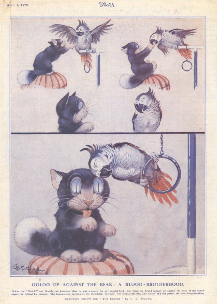 George Studdy - Ooloo the Cat up against the Beak, Sketch | Dimensions 4599 x 6426 pixels