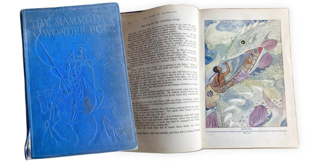Anne Anderson's Mammoth Wonder Book