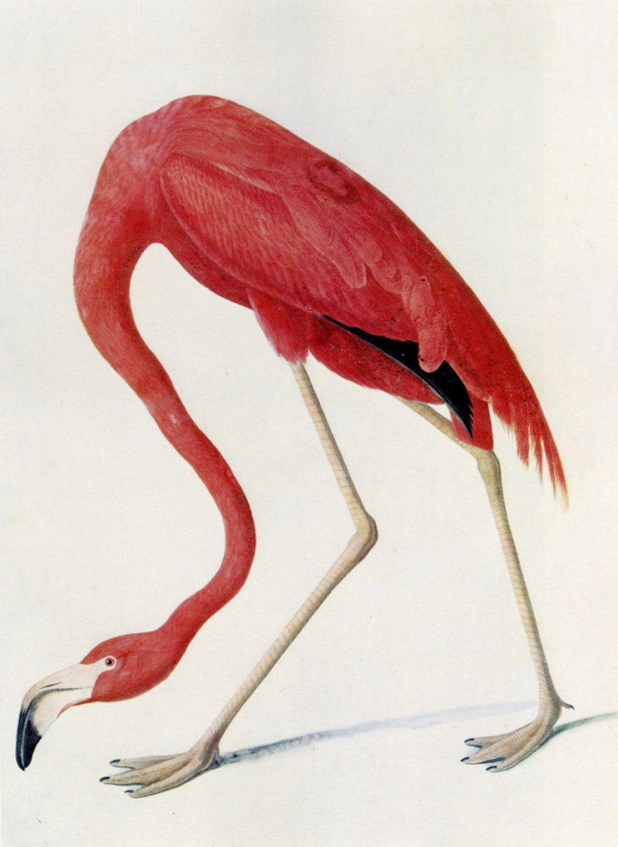 ·American Artists in the Public Domain - Public Domain Image Library