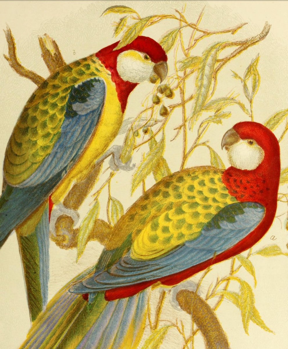 ·Australian Artists in the Public Domain - Public Domain Image Library