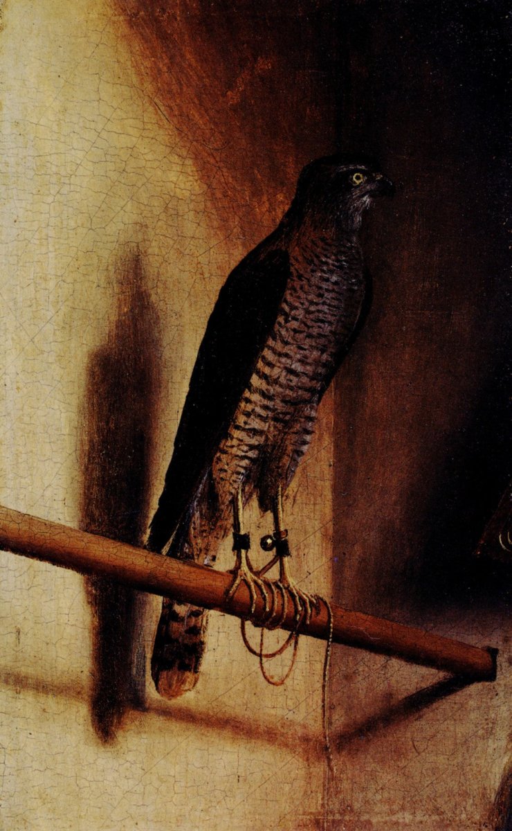 Jacopo de' Barberi