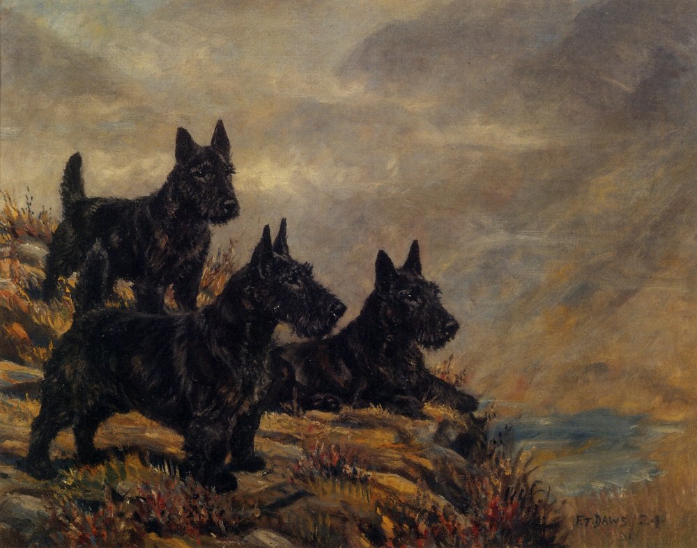 Thomas Frederick Daws 