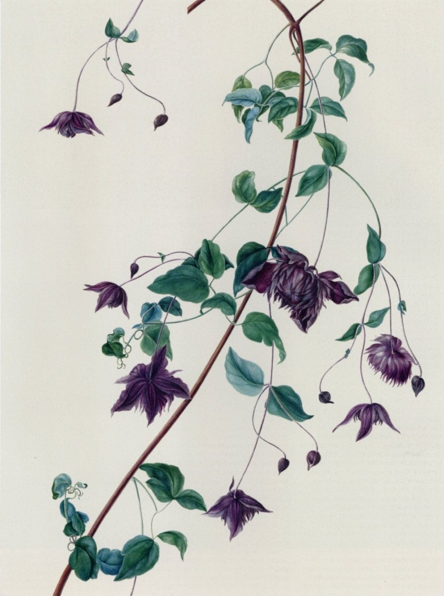 Margaret Meen