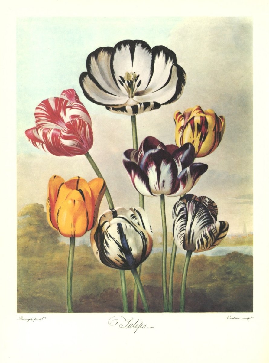 Philip Reinagle
