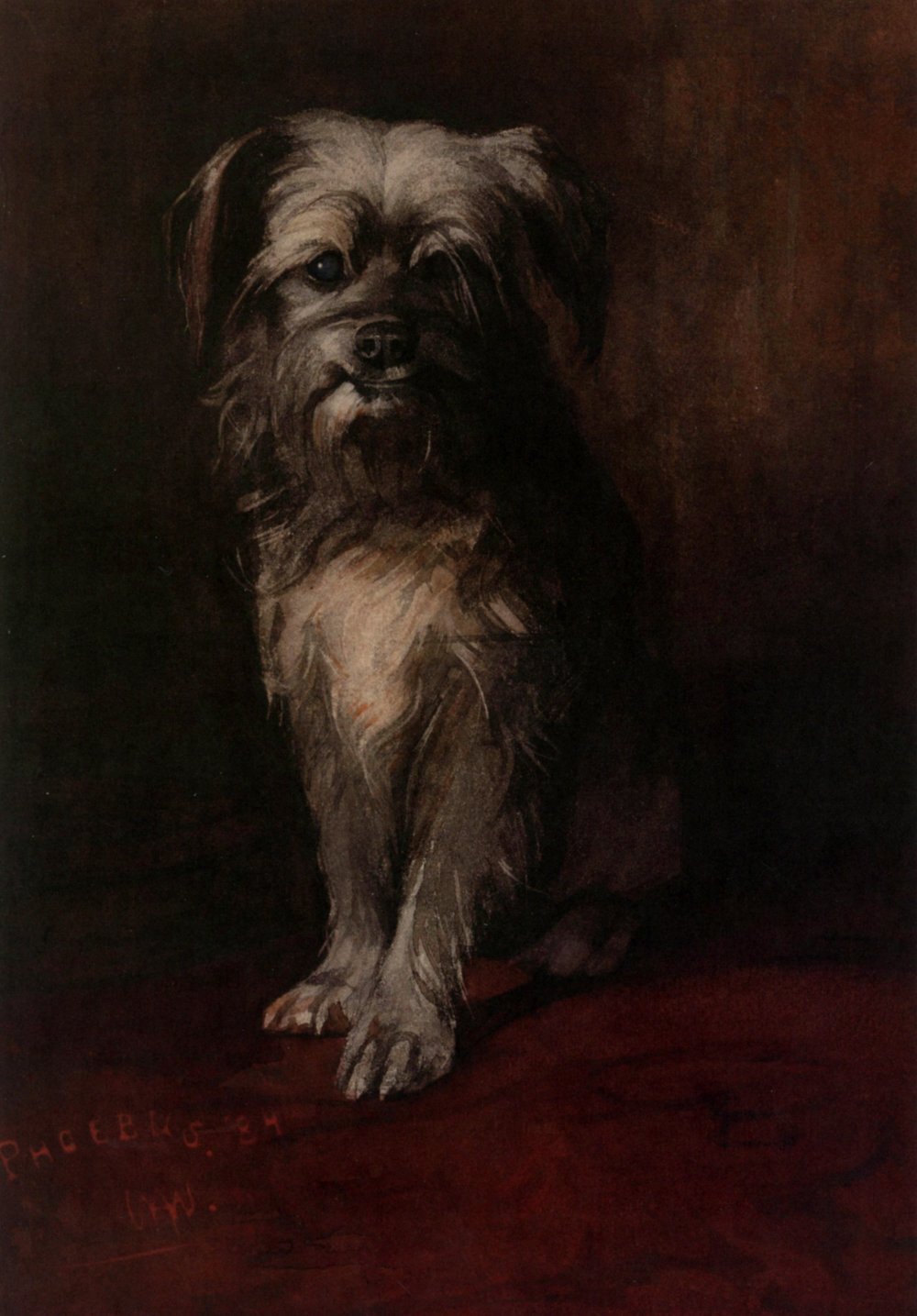 Willem Witsen