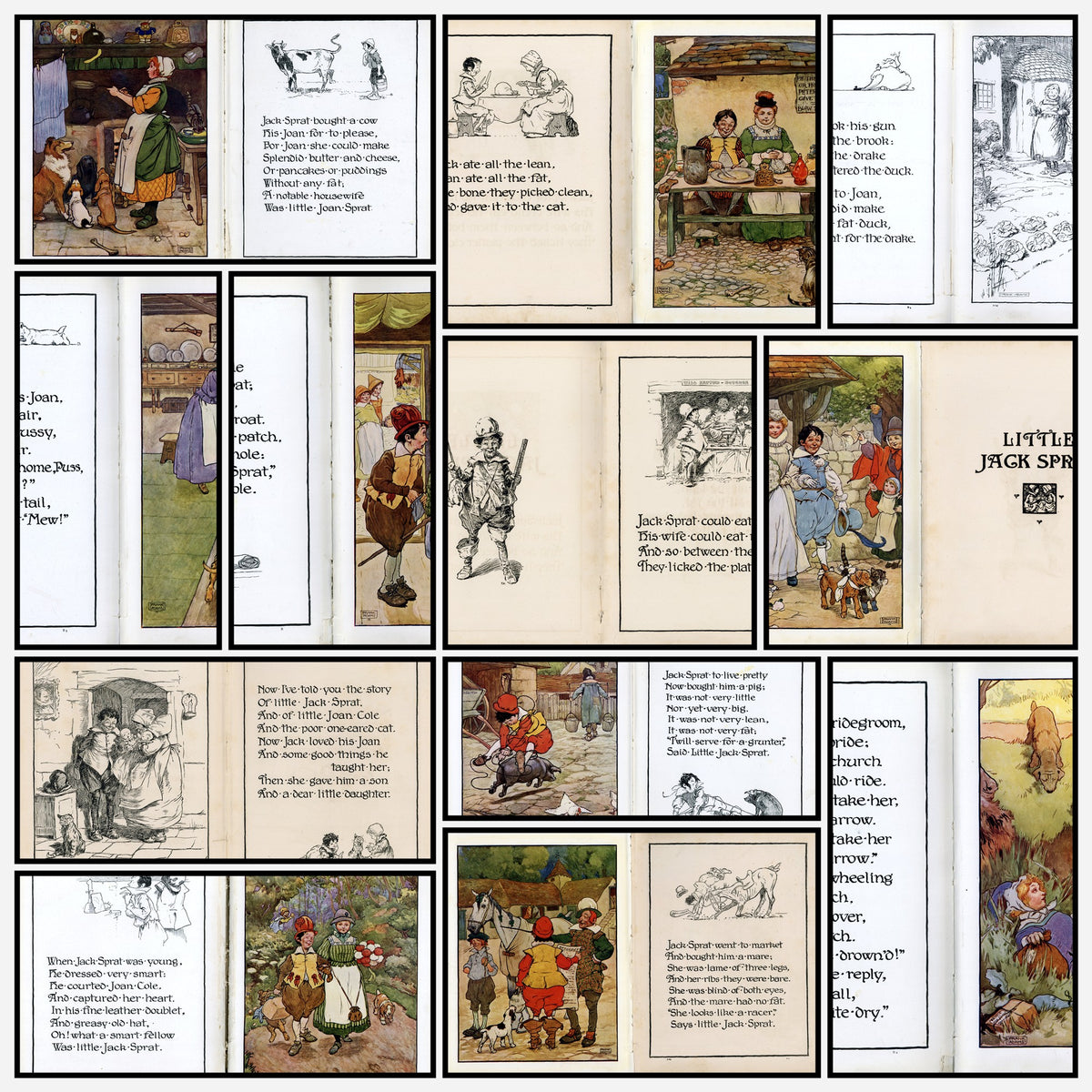 A snapshot of some of the images