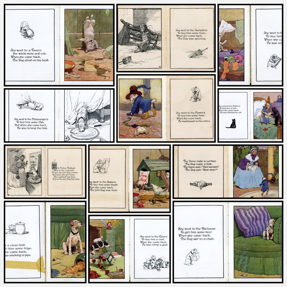 A snapshot of some of the images