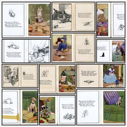 A snapshot of some of the images