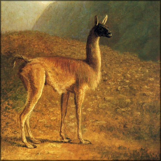 Digital Download - 1 image