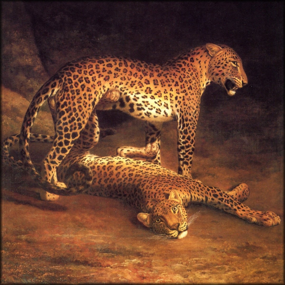 Digital Download - 1 image