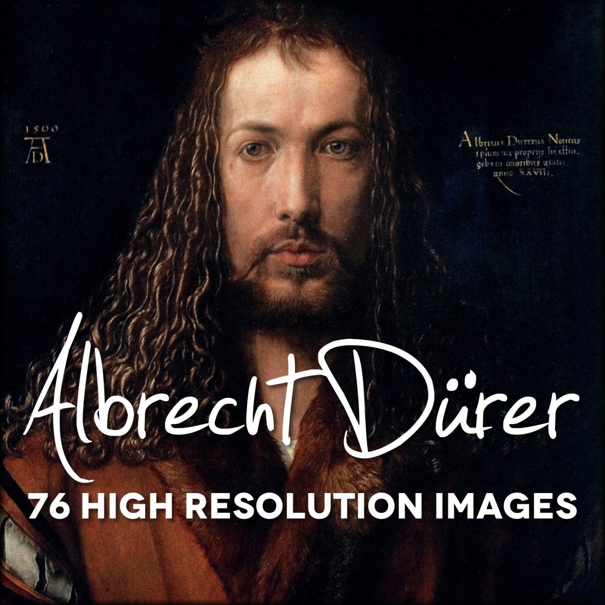 Albrecht Dürer Renaissance Artwork in the Public Domain | Digital Download - 76 images