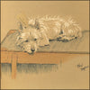 Mac 1912 - Cecil Aldin (1870-1935) - 25 images