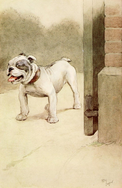 Cecil Aldin - My Dog 1913 - 6 Public Domain Images | Dimensions 2060 x 3160 pixels