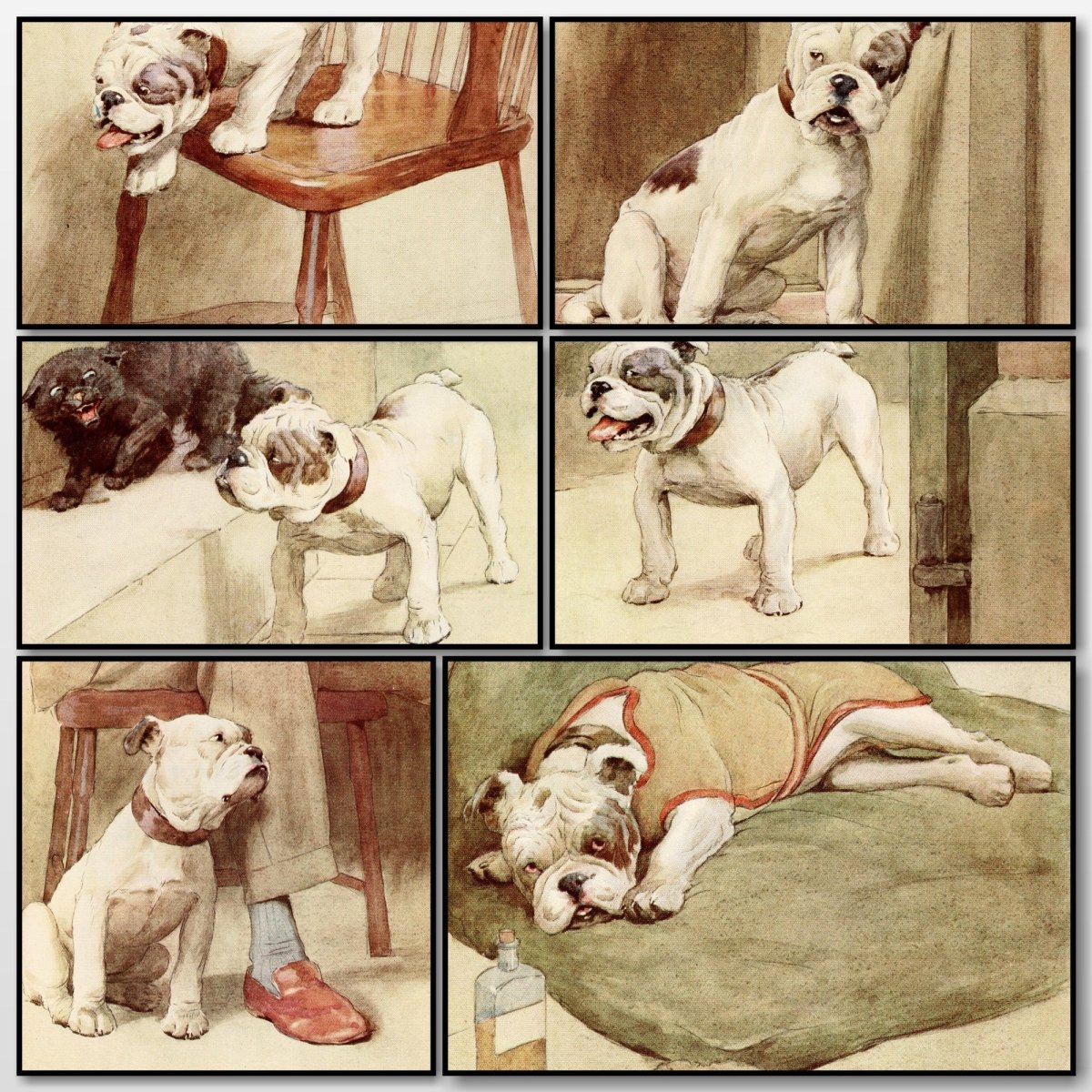 Cecil Aldin - My Dog 1913 - 6 Public Domain Images | A snapshot of the images
