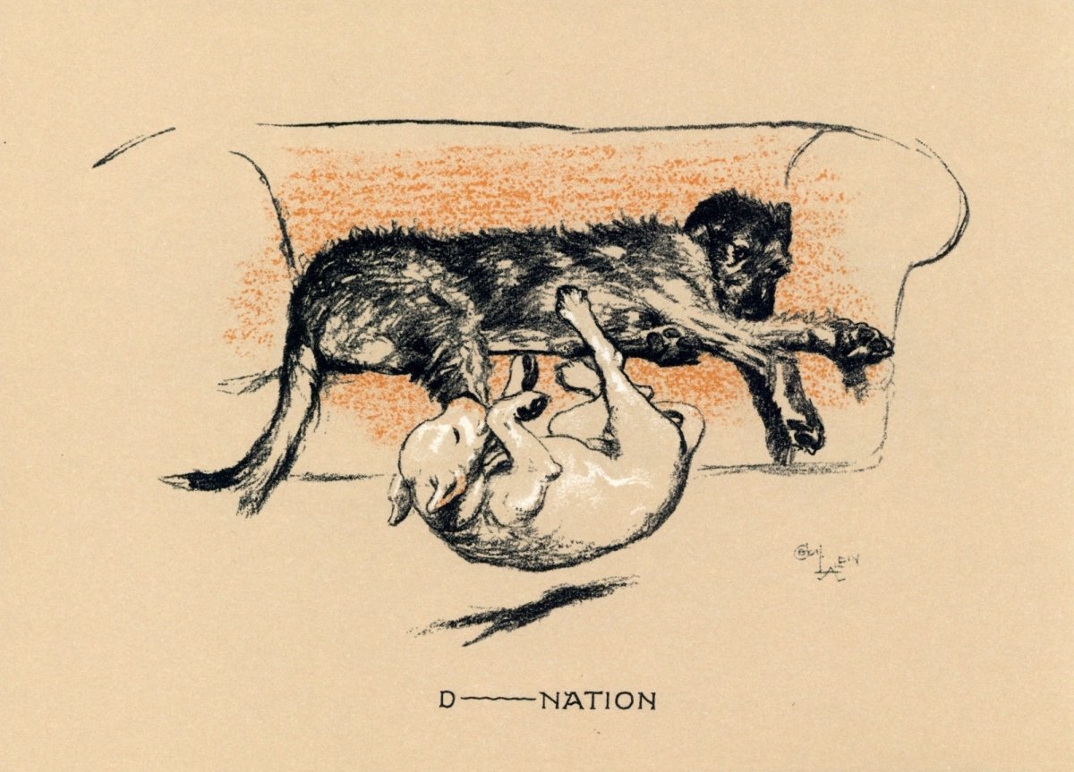 Cecil Aldin - Sleeping Partners 1929 - Public Domain Images | Dimensions 4536 x 3264