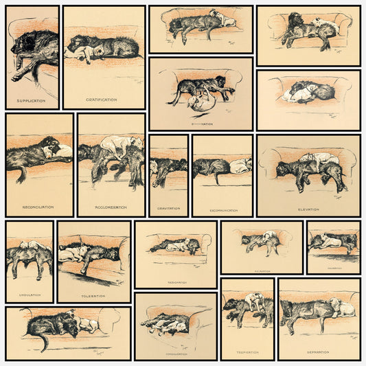 A snapshot of the images