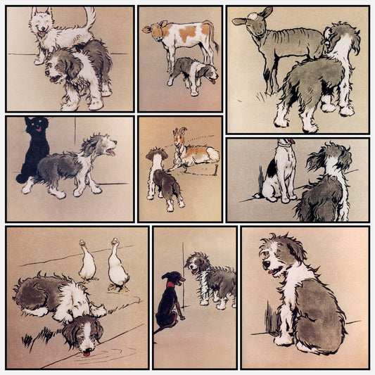 A snapshot of the images