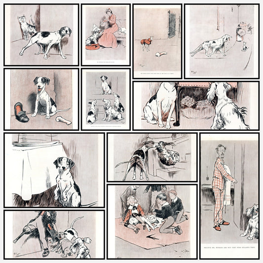 A snapshot of the images