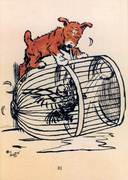 Dimensions 2856 x 4002 pixels