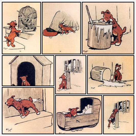 A snapshot of the images