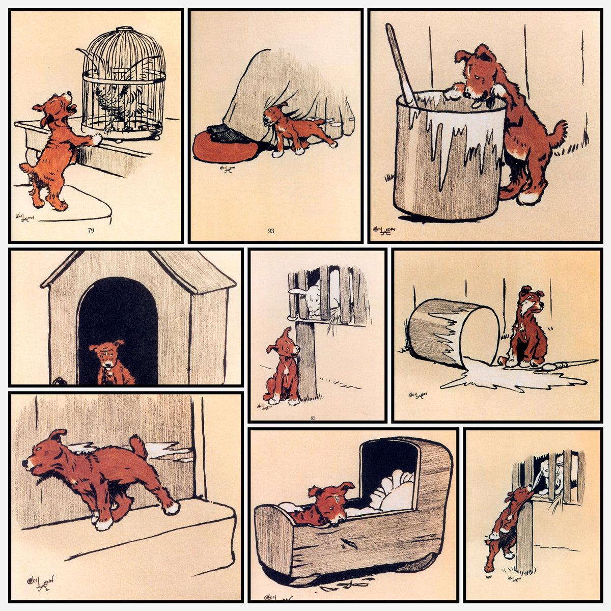 A snapshot of the images