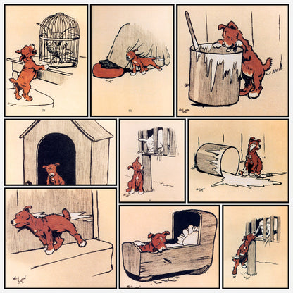 A snapshot of the images