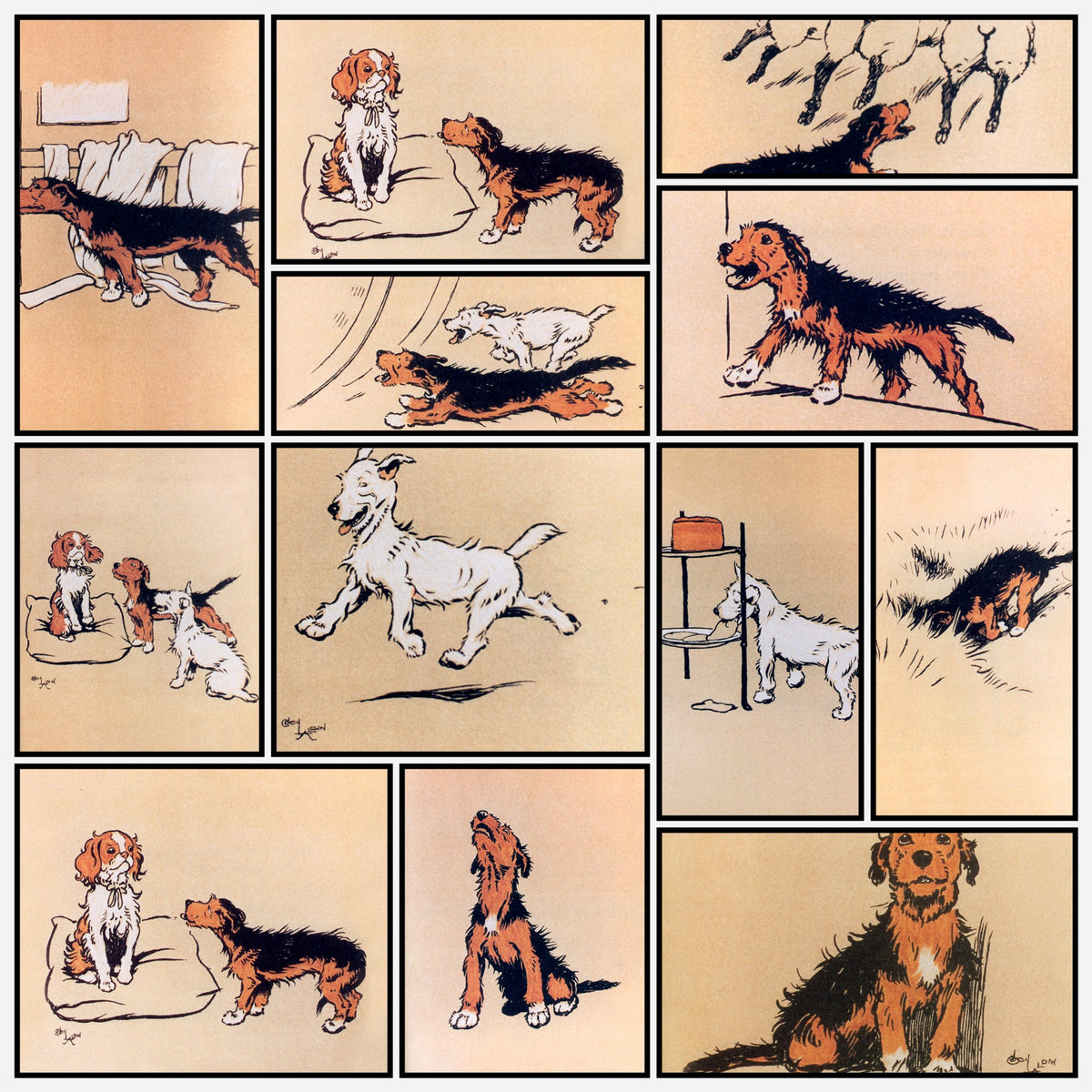 A snapshot of the images