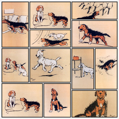 A snapshot of the images