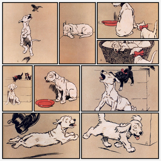 A snapshot of the images