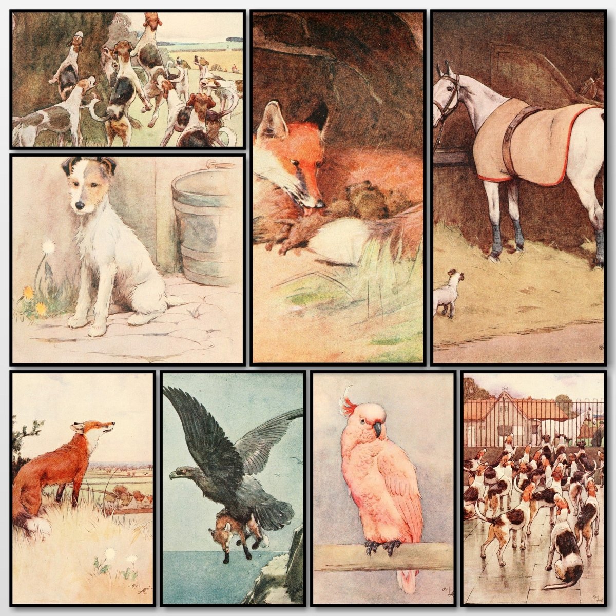 White Ear and Peter 1912 - Cecil Aldin Public Domain Images | A snapshot of some of the images