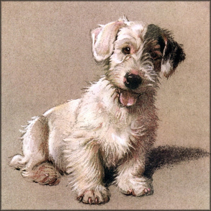 Cecil Aldin Public Domain Images to Download | A Dozen Dogs or So (1928) - 13 images
