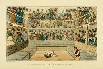 Sporting Repository 1904 - Henry Alken - 22 images | Dimensions 3335 x 2225 pixels
