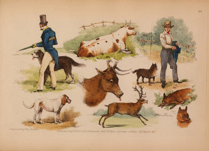 Studies of the Horse 1831 - Henry Alken - 25 images | Dimensions 4087 x 2967 pixels