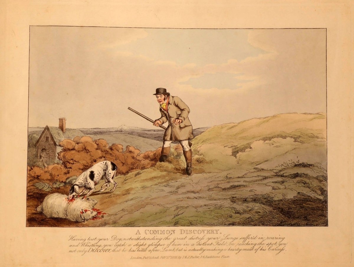 Sporting Discoveries 1816 - Henry Alken - 7 images | Dimensions 3552 x 2688 pixels