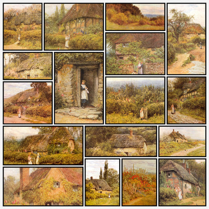 A snapshot of some of the images