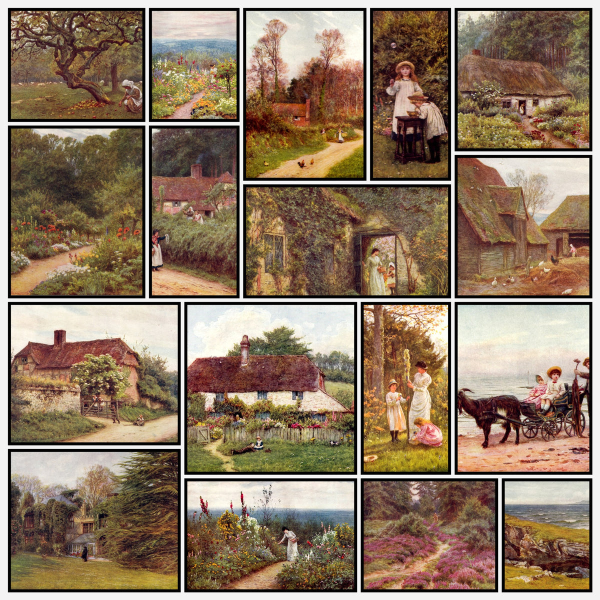A snapshot of some of the images