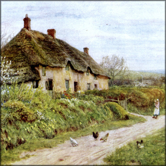 Digital Download - 1 image