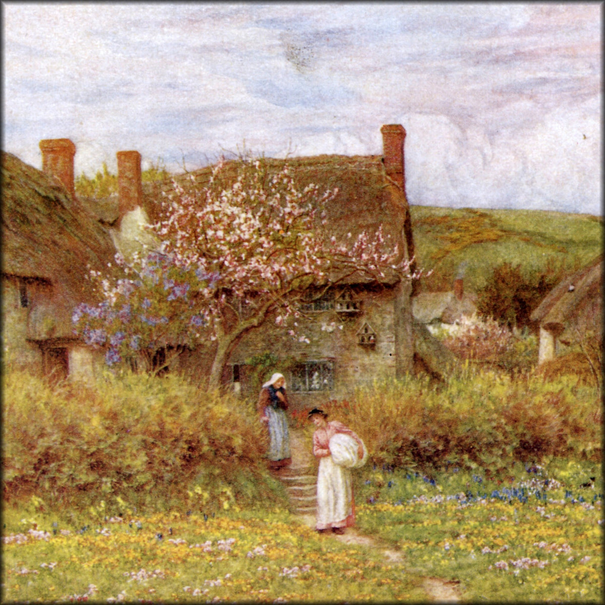 Digital Download - 1 image