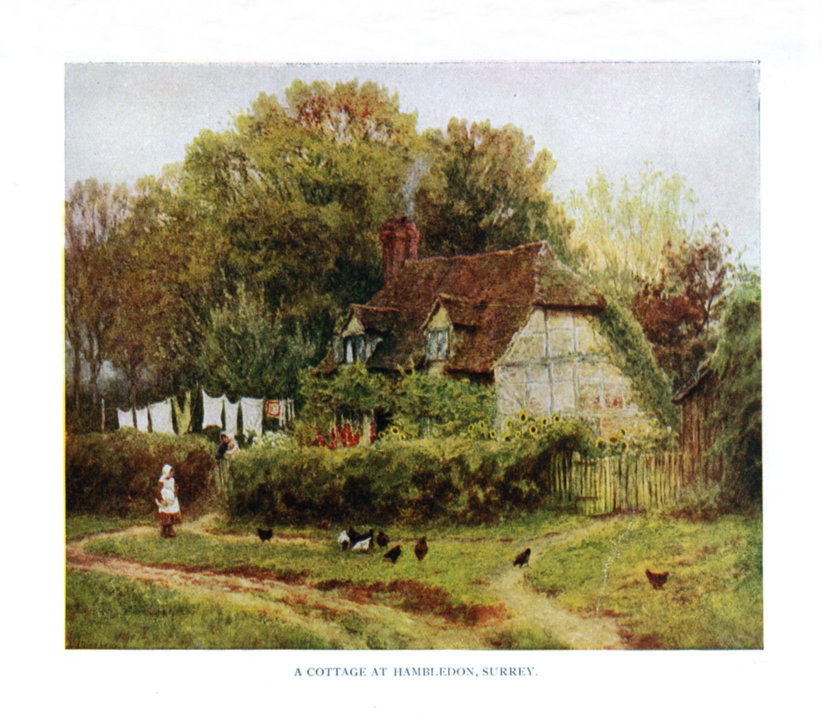 Dimensions 3794 x 3311 pixels