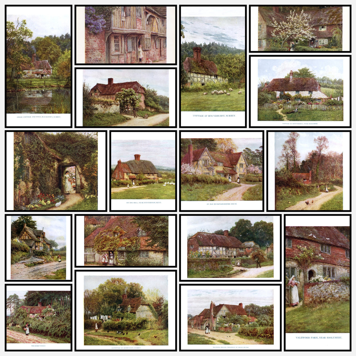 A snapshot of the images