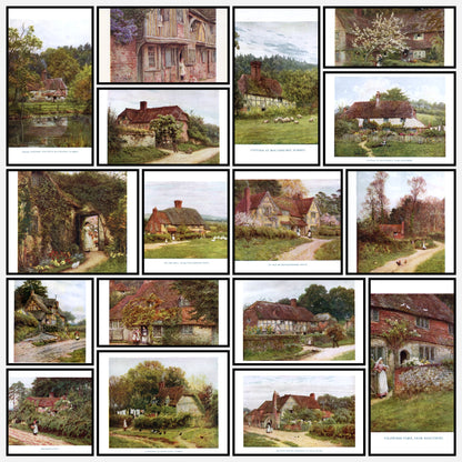 A snapshot of the images