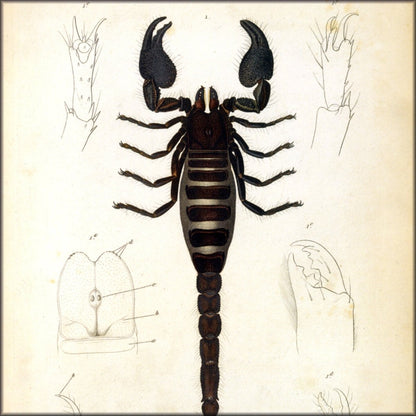 Digital Download - 1 image
