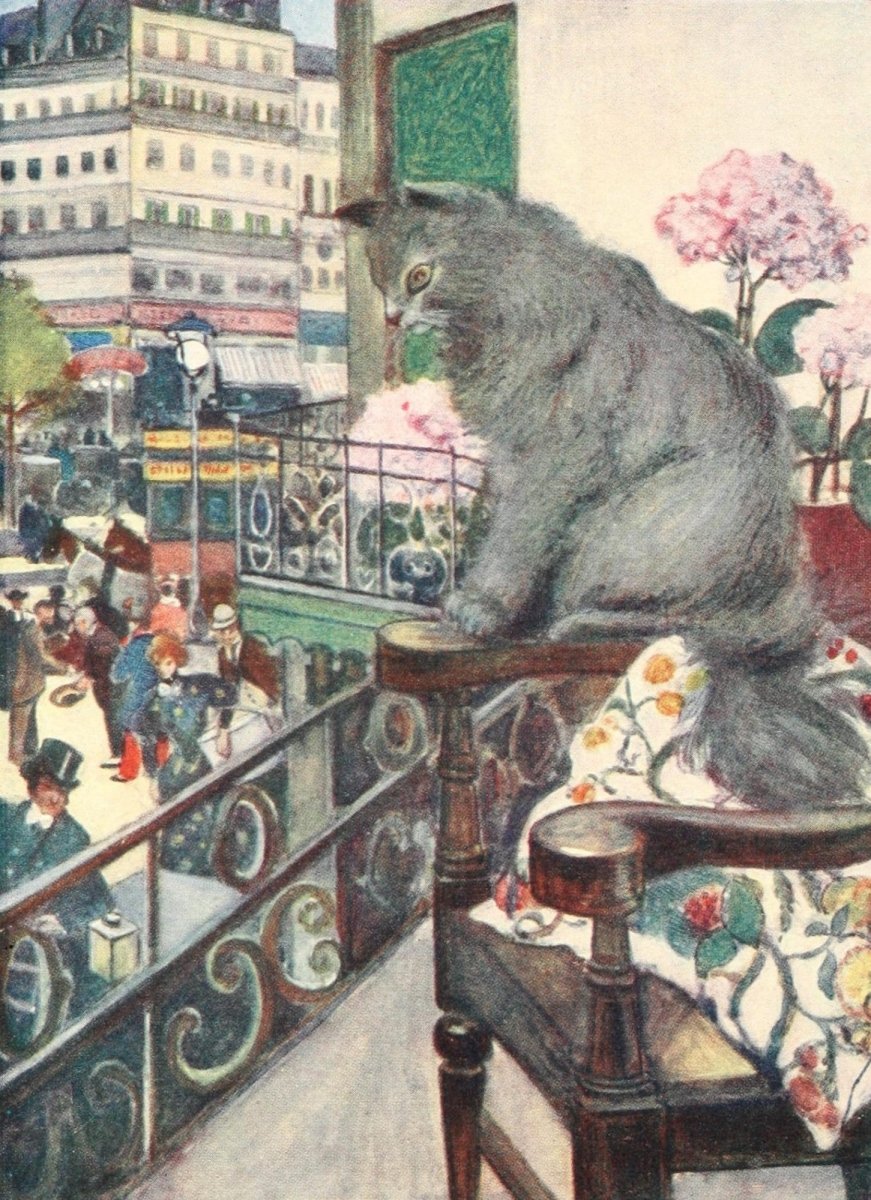The Cat 1905 - Adolph Birkenruth - 12 images | Dimensions 1524 x 2100 pixels