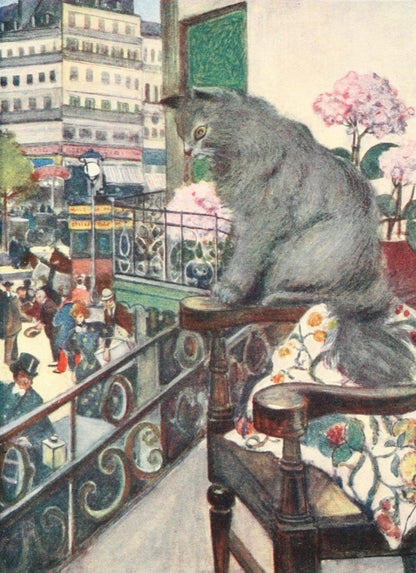 The Cat 1905 - Adolph Birkenruth - 12 images | Dimensions 1524 x 2100 pixels