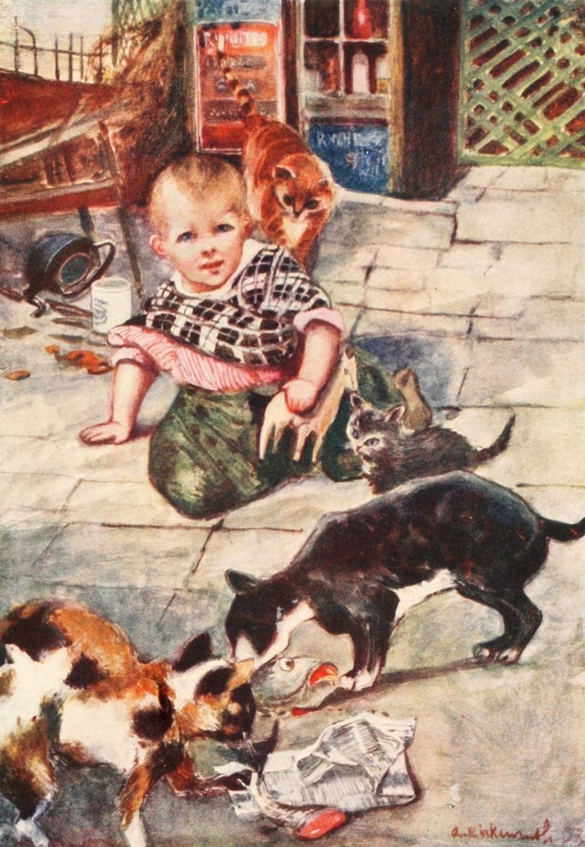 The Cat 1905 - Adolph Birkenruth - 12 images | Dimensions 1560 x 2256 pixels