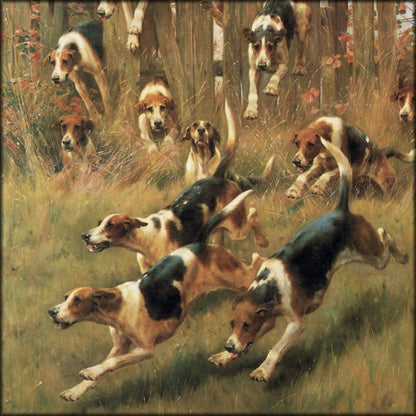 Thomas Blinks (1853-1910) - Hounds at Full Cry | Digital Download - 1 image
