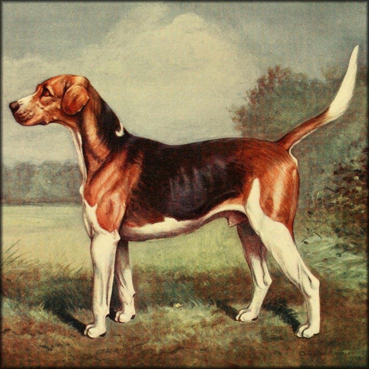 Good Sport seen with some Famous Packs 1910 Cuthbert Bradley | Digital Download - 8 images